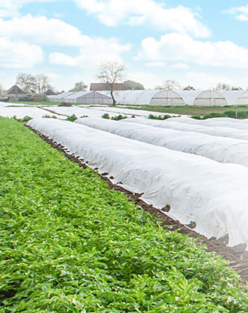 Crop Protection Image